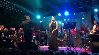 Andantino Pop Caz Orkestrası - 9 Eylül Resepsiyonu