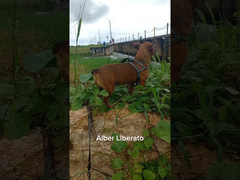 Visita à cidade de Ipaporanga-CE. #shorts