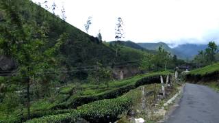 preview picture of video 'POTHAMEDU VIEW POINT MUNNAR 455 travel views by sabukeralam & travelviewsonline'