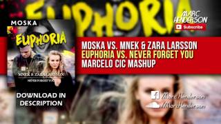 Moska vs. MNEK & Zara Larsson - Euphoria vs. Never Forget You (Tiësto Tomorrowland '16 Mashup)