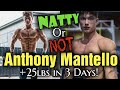 Is Gymshark Athlete Anthony Mantello Natty OR Not? Gaining 25 lbs in 3 Days???