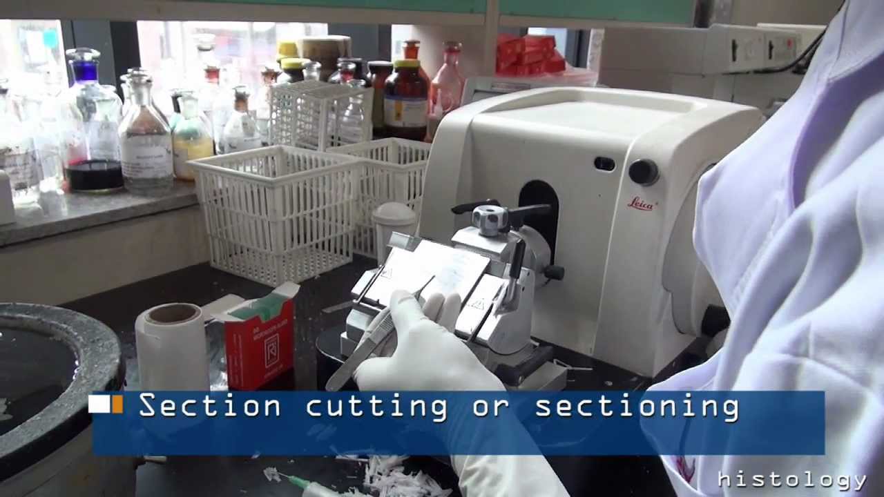 FFPE - Tissue Processing/Embedding/Sectioning for Histology, Immunohistochemistry (IHC), ISH & FISH