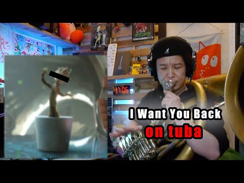TUBA TO BASS - "I Want You Back"