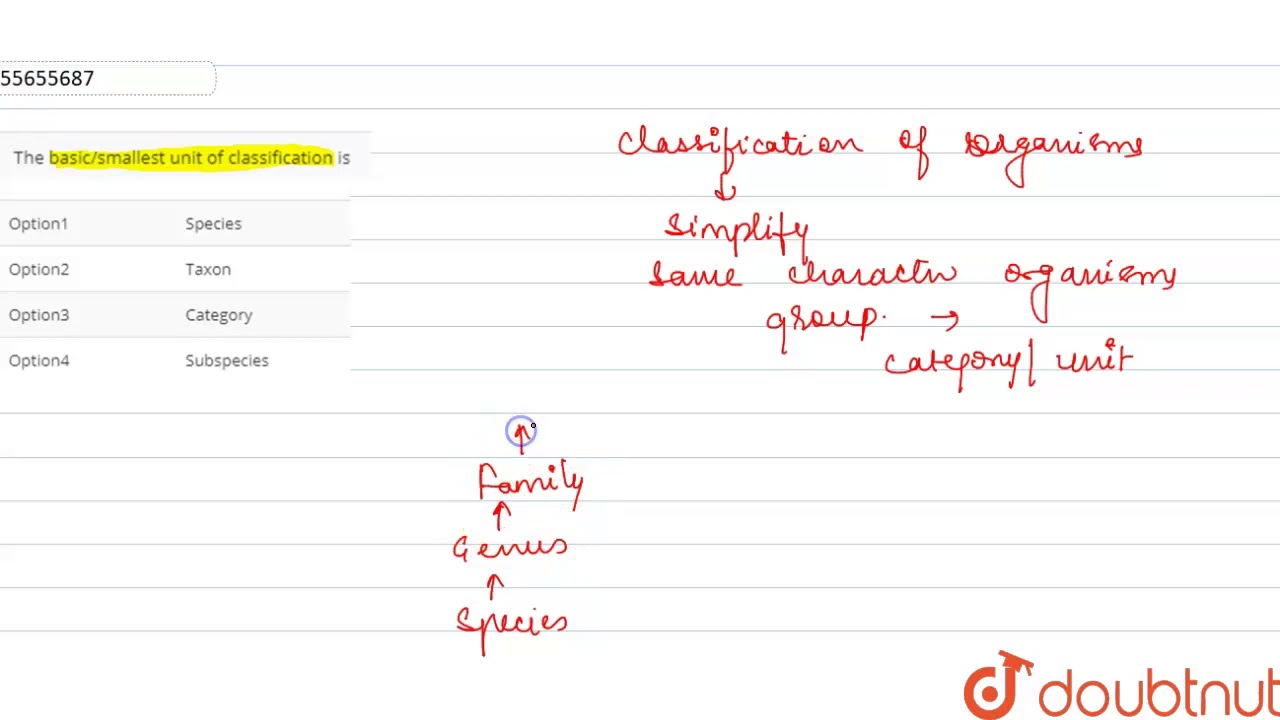 What Is Smallest Unit Of Classification EN General