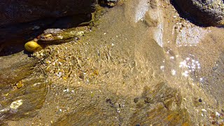 10 Minutes Relax - Sunlit sea water gliding through pebbles on the beach ✨🌊
