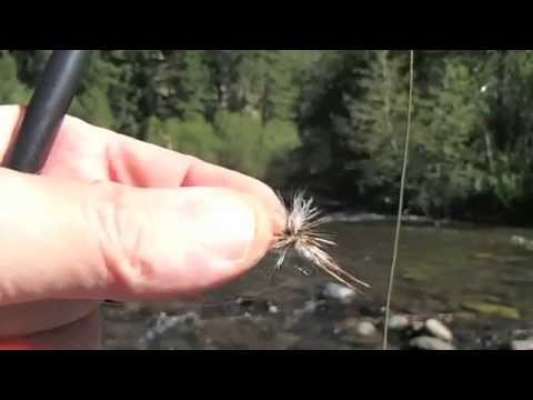 Parachute Adams Dry Fly Action 006