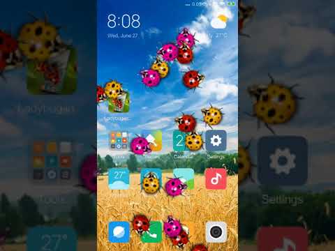 Ladybug in phone prank Video