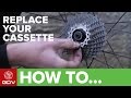 How To Change Your Cassette Road Bike Maintenance