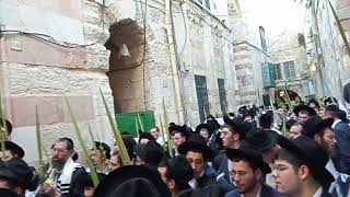 בשער הברזל - ר' שלום מנחם וולגלרנטר שליט