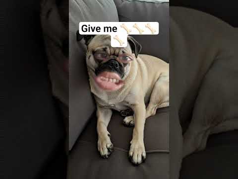 give me 🦴🦴🦴