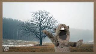 Groundhog Day Explained