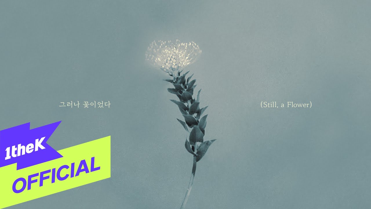 [MV] CNBLUE (씨엔블루) _ Still, a Flower (그러나 꽃이었다) (LYRIC VIDEO)