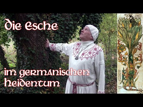 Die Esche, der germanische Weltbaum (Allsherjargode 46)