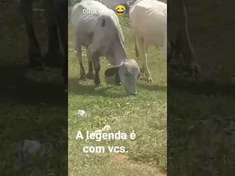 Sabinópolis minas gerais. deixe seu comentário