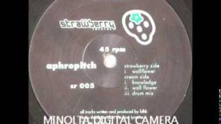 Aphropitch  - Wallflower 1994