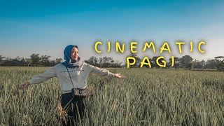 Download lagu KEREN BGT!!! Video Cinematic PAGI Di Sawah - cinematic video 2020 mp3