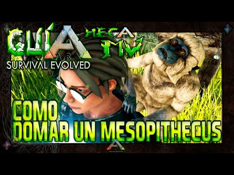 ARK Survival Evolved | Como domar un MESOPITHECUS | La mejor guía en Español