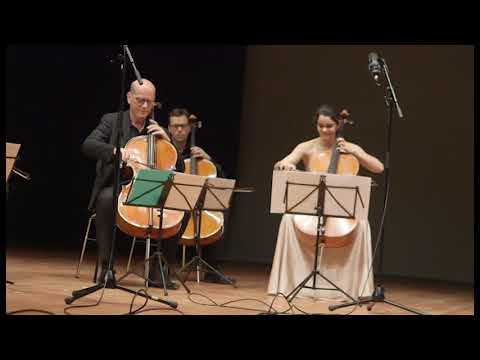 Hommage á Maria Kliegel  - 20. Heitor Villa Lobos - Bachianas Nr. 1
