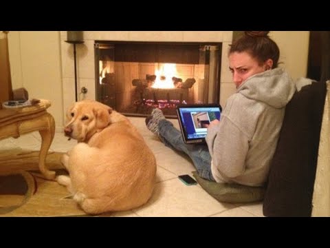 Prends un chien et tu vivras des moments comme ceux-ci !