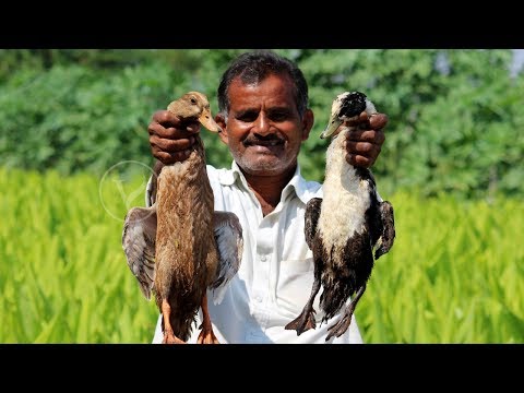 Tasty Duck Biryani | How to Make Village Style So Yummy Duck Biryani | Vaathu Biryani