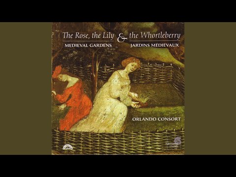 Motet - O flos campi