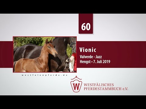 60 Vionic  Hengst v. Valverde - Jazz