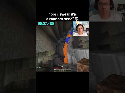 Minecraft Speedrun Moment