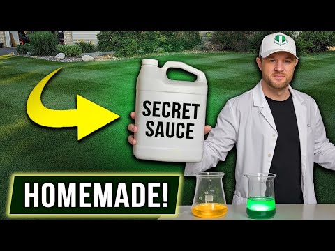 This DIY Fertilizer is an Absolute GAME CHANGER