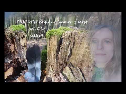 Frieden und das Bestärken des eigenen inneren Feldes - Krafttiere Specht & Fuchs