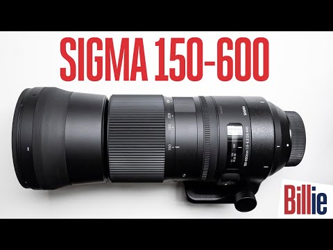 Sigma 150-600mm Contemporary: The best sports & wildlife lens under