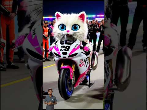 🥰❤️ Evolution of Cat : Bike to Cat Transporting 🥰 Ai Nazmul ✅ #cat​ #cute​ #love​ #shorts​