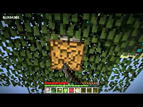 FTB Insanity - Episode #1: Beginner's Sorrow