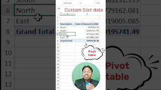 How to Custom Sort Data in Pivot Table | Excel Tutorial#excel