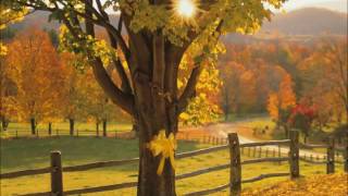 Tony Orlando & Dawn - Tie a yellow ribbon 'round the ole oak tree