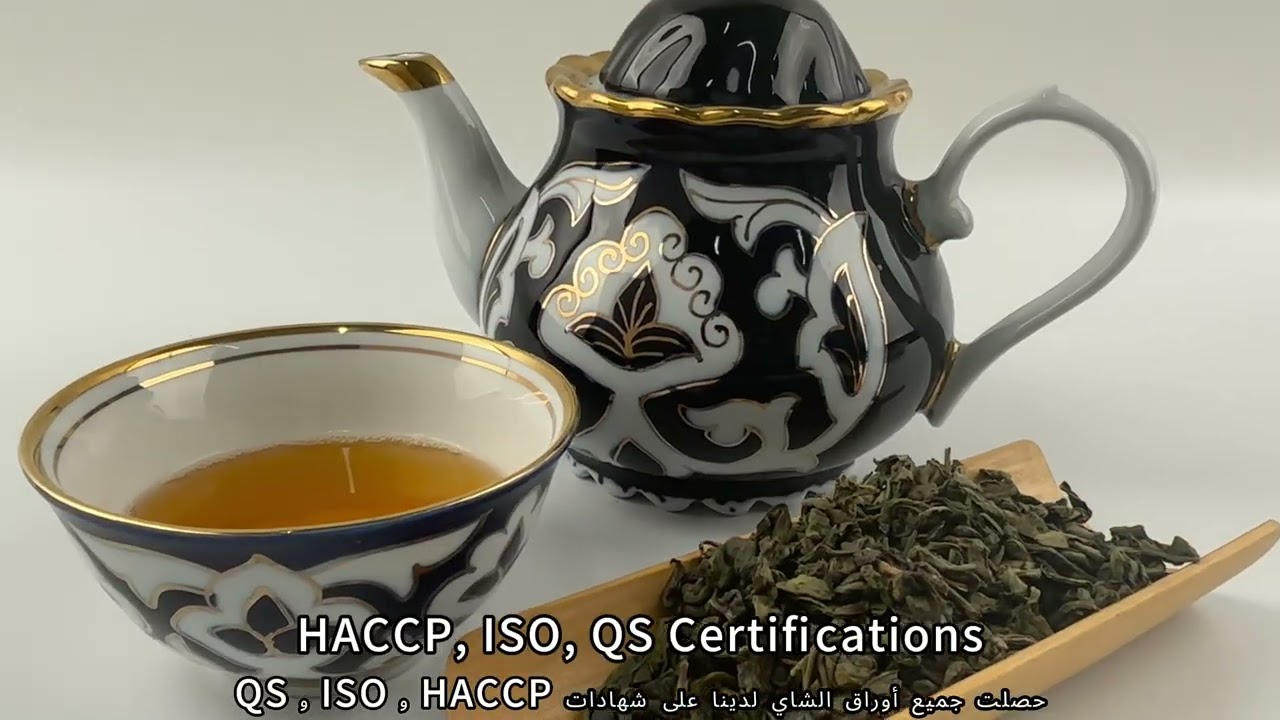 China Gunpowder Green Tea Zhu cha 9374 9375 with wholesale price