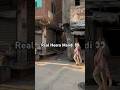 Heeramandionnetflix Heeramandi Viralreels Trading Bollywood Walking4k Lahore Pakistan