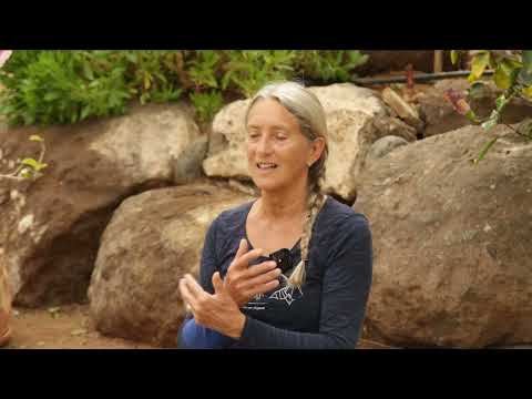 Yantra Yoga | Training the body with the Tsigjong: 5 Movements to loosen the joints