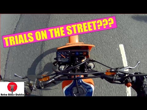 Thumbnail for 1983 Honda TLR 200 - Review (Overview)