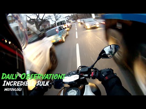 Incredible Sulk   Daily Observations 2