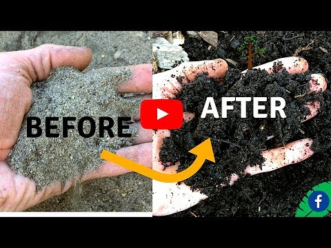 How to Improve Your Soil's Health Made Easy