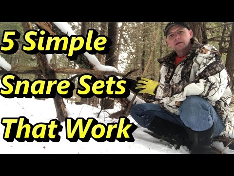 5 Easy Snare Sets That Work. Go to sets for Beginners and Experts.