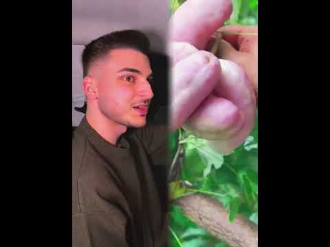 🧏‍♂️🧏‍♂️ #foryou #storytime #fyp