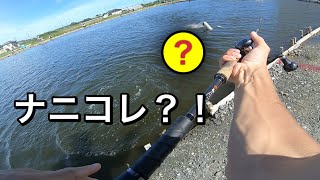 数釣り王vs最後にすごいの釣る奴