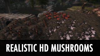Skyrim Mod Spotlight: Realistic HD Mushrooms