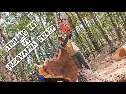 Stihl ms 881 Vs Husqvarna 3120 XP.
