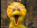 Sesame Street Big Bird S Wide Eyes
