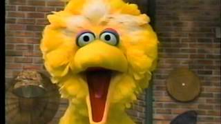 Sesame Street - Big Bird&#39;s Wide Eyes