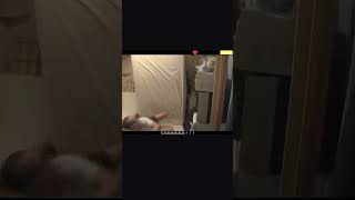 殺し屋の作戦が、まさかのドミノ倒しｗ【ホラフキン】 #Shorts