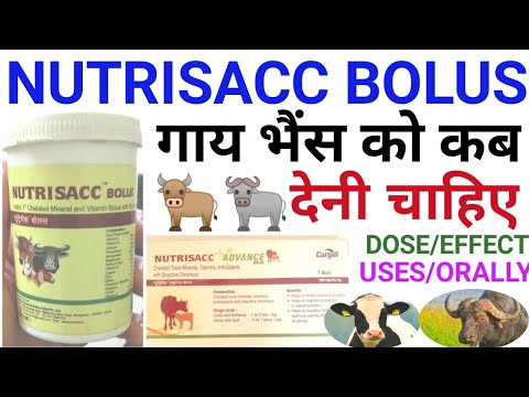 NUTRITIONAL TABLETS FOR VETERINARY