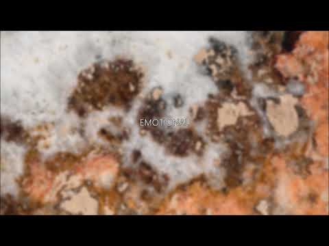 KizoKiz - Emotional (Audio Official)